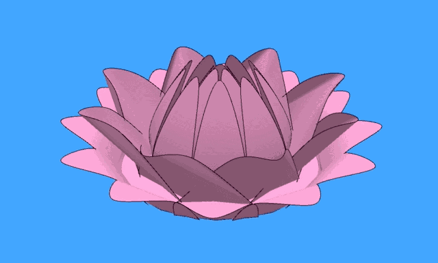 Lotus animation